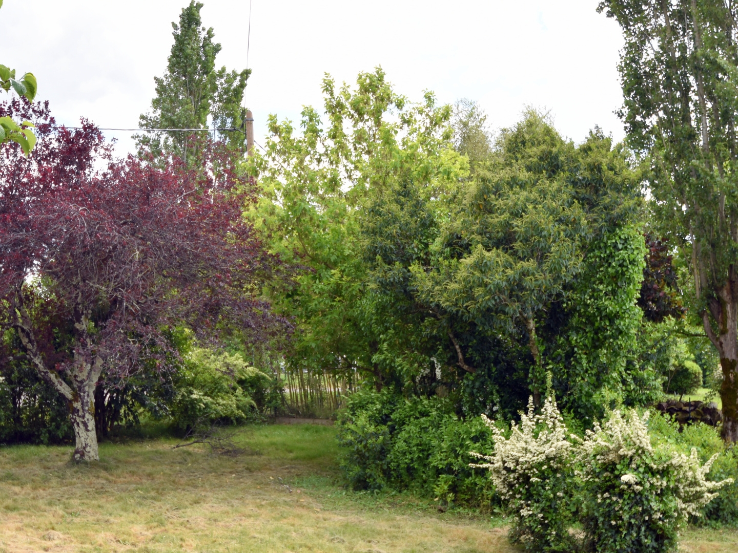 Terrain en individuel 1200 m²