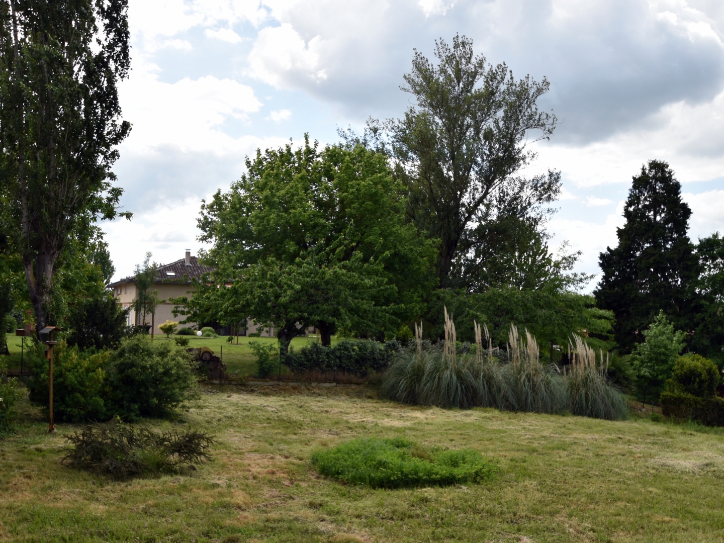 Terrain à vendre - 1200m2 - Montauban (82000)