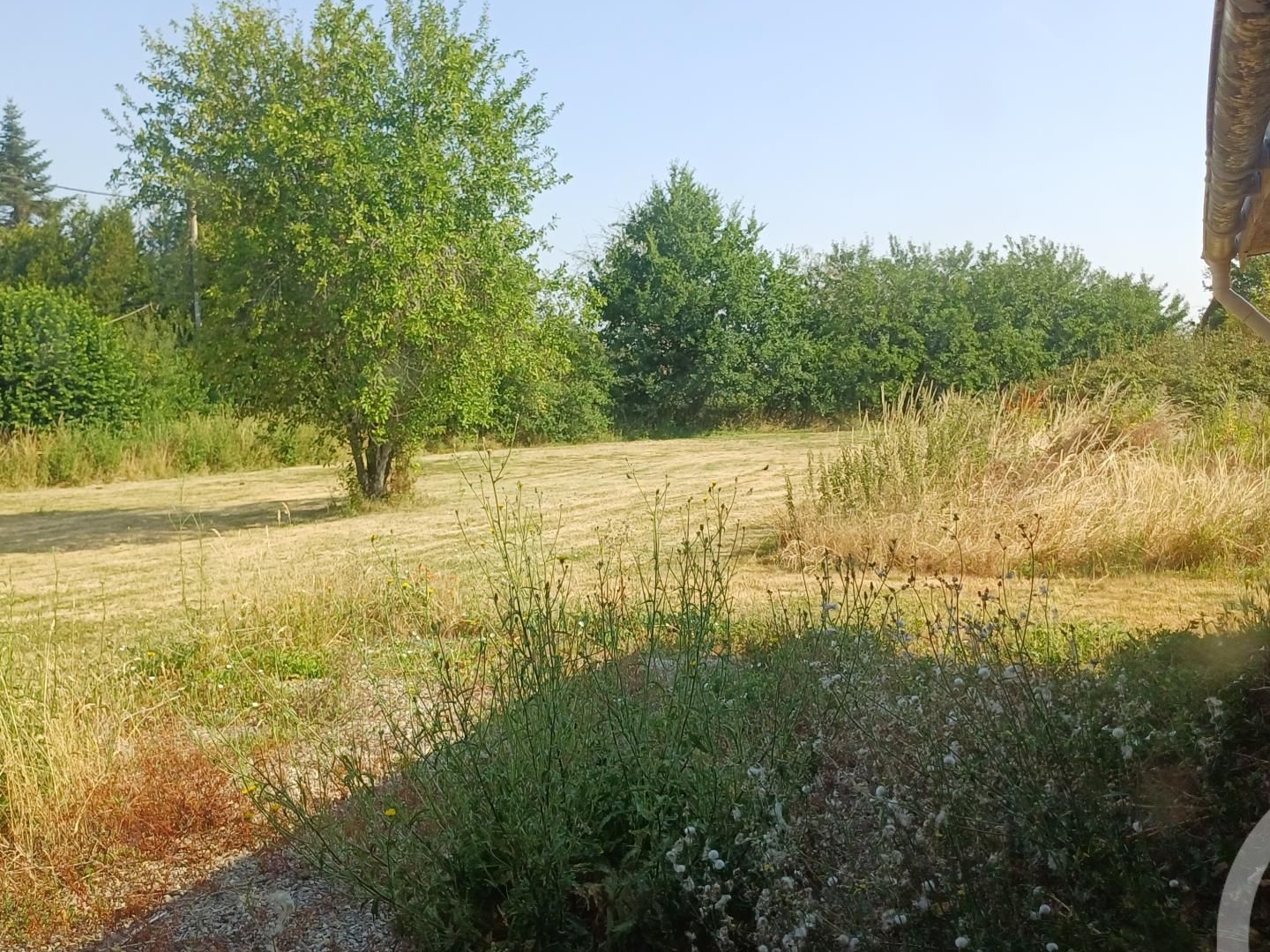 Maison à vendre - 5 pièces - 120m2 - Sauzé-Entre-Bois (79190)