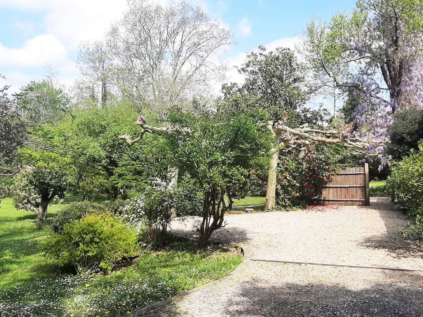 Maison à vendre - 12 pièces - 387m2 - Saint-Laurent-De-... (40390)