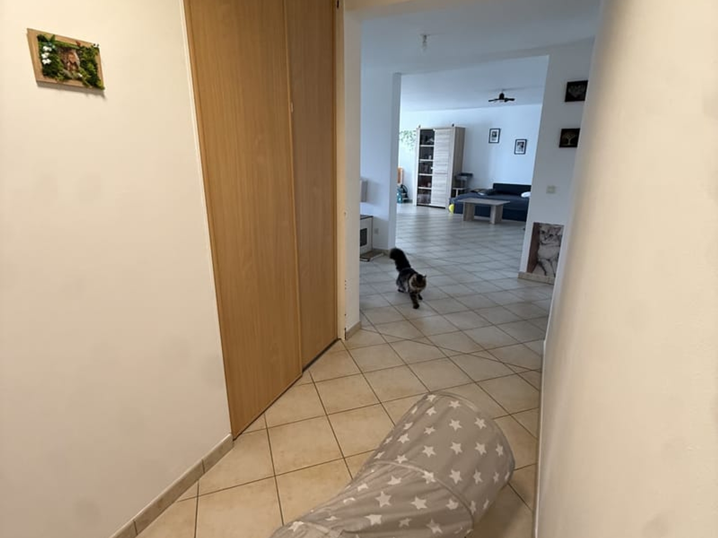 Immeuble à vendre - 361m2 - Condé-Northen (57220)