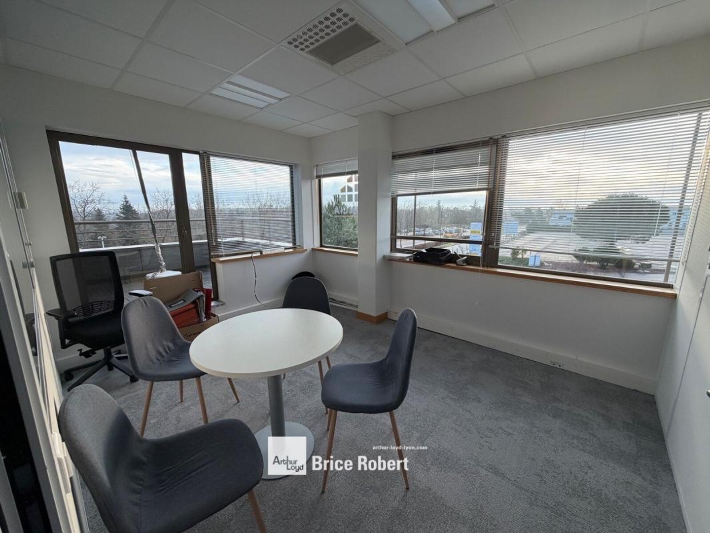 Bureaux à vendre ou à louer Marcy l'Etoile terrasse et grande luminosité