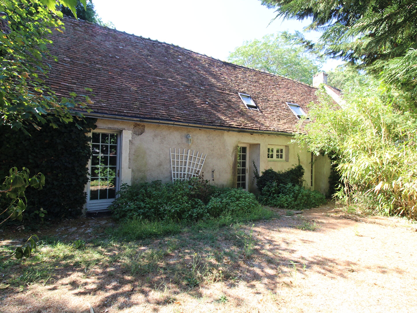 Maison