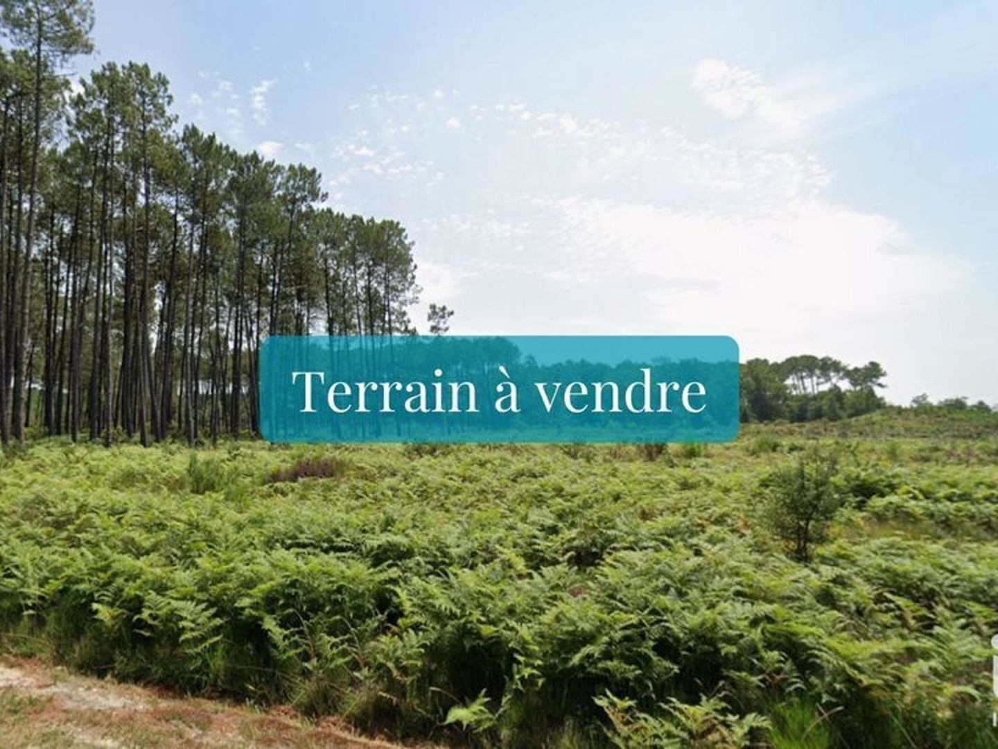 Vente Terrain 709 m²