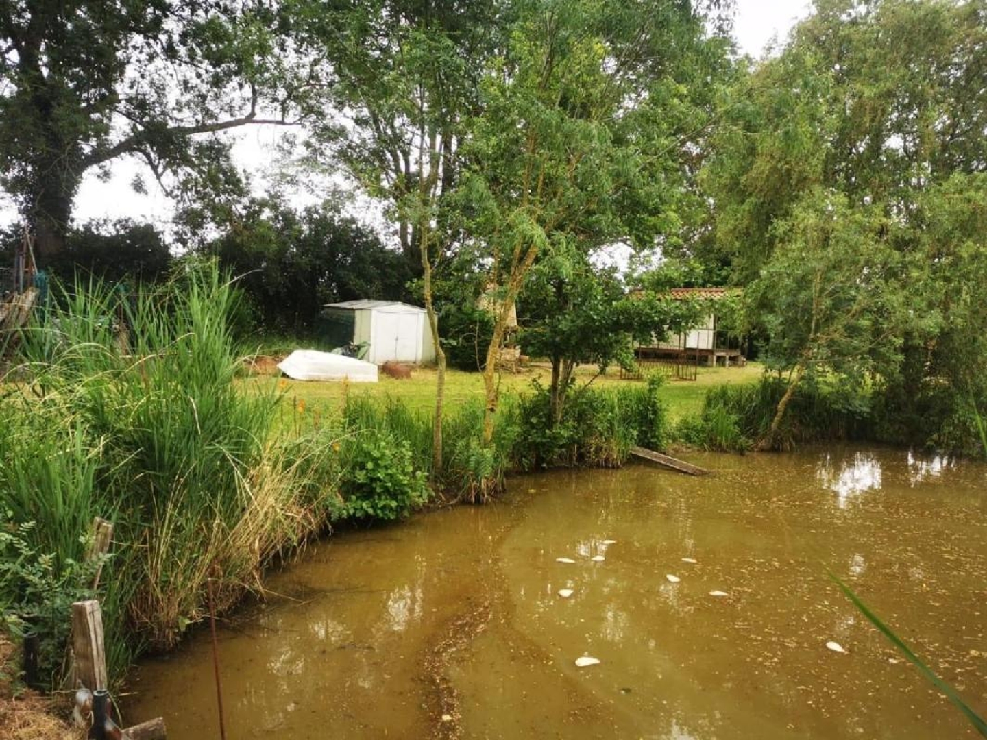 Terrain en individuel 9295 m²
