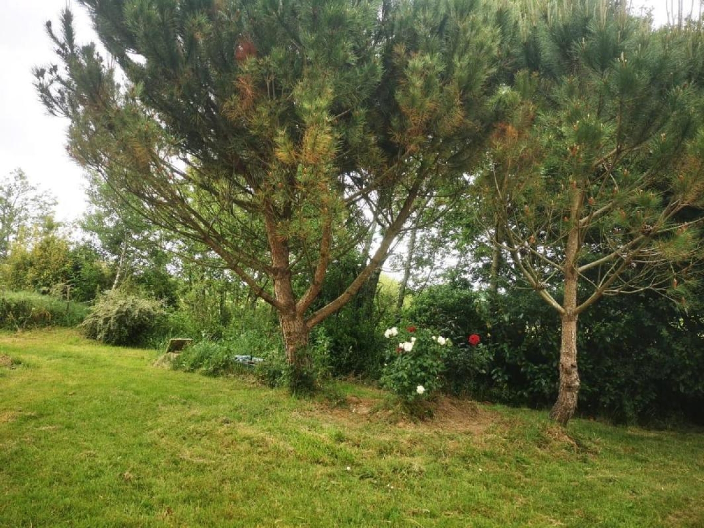 Terrain à vendre - 9295m2 - Talmont-Saint-Hil... (85440)