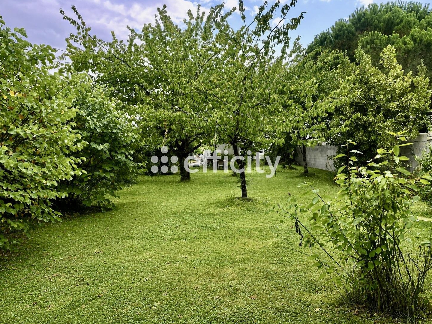 Maison à vendre - 3 pièces - 74m2 - Marennes-Hiers-Br... (17320)