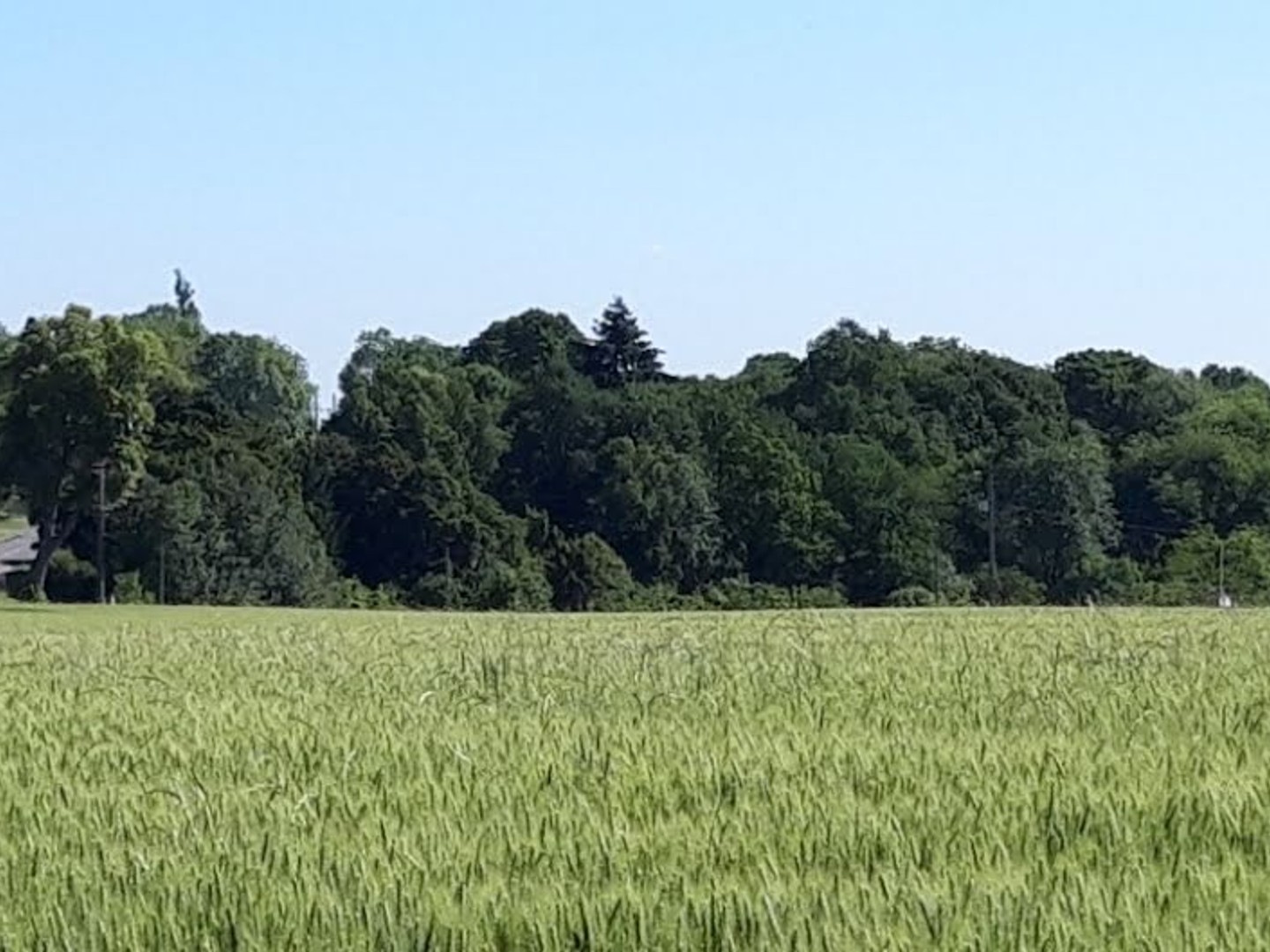 Terrain 645 m²