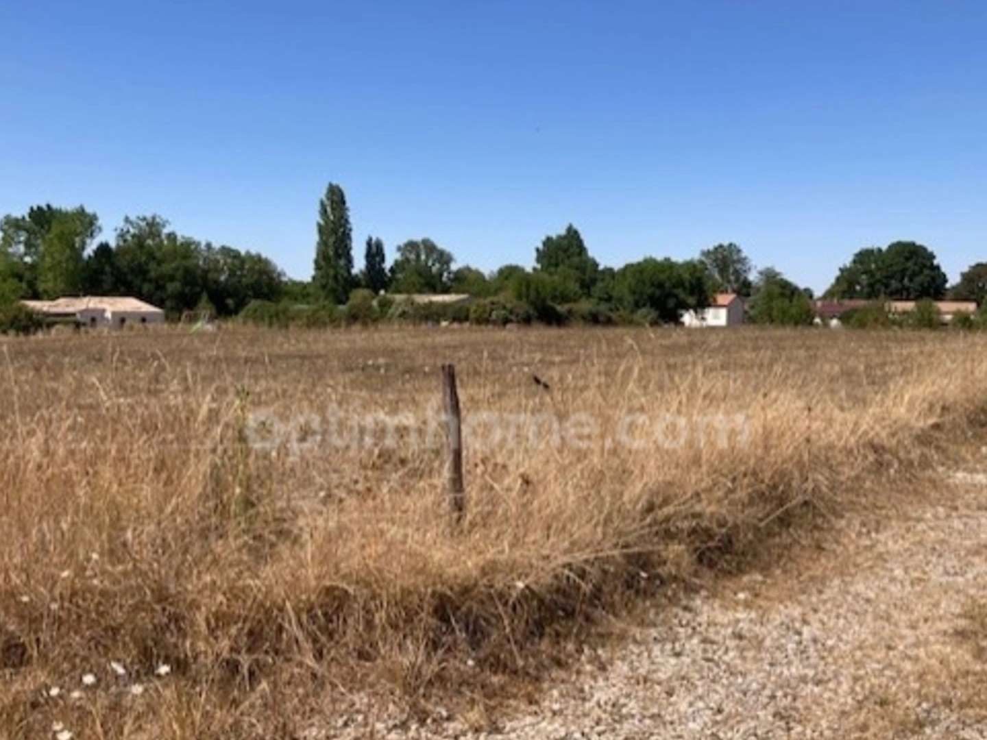 Terrain à vendre - 4992m2 - Saint-Loup (17380)
