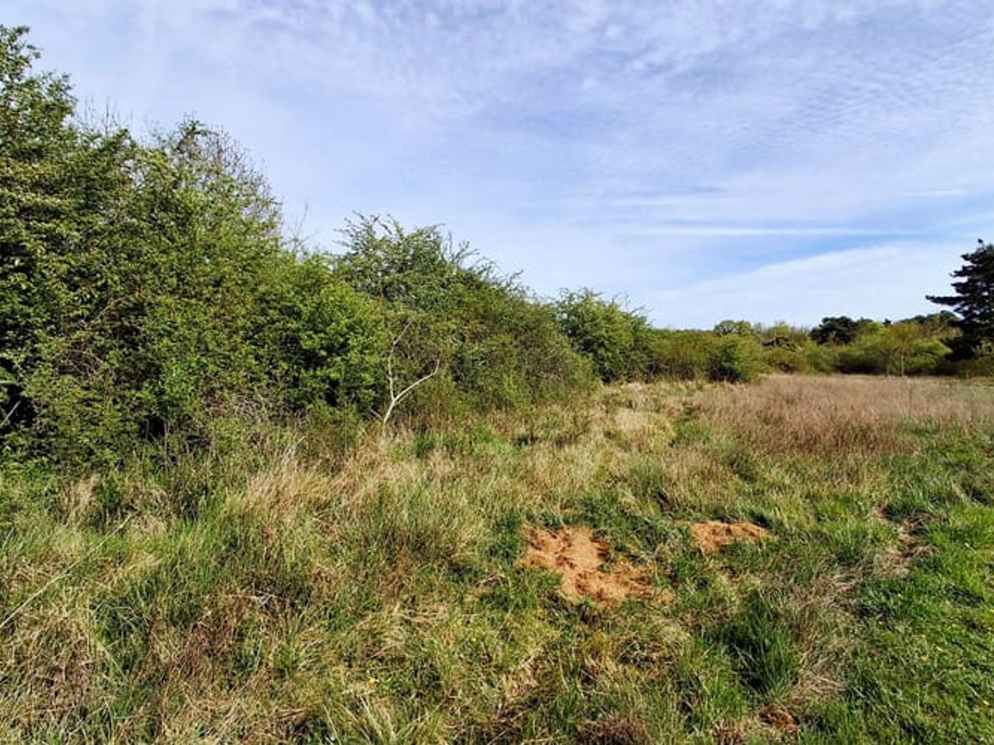 Terrain 4200 m²