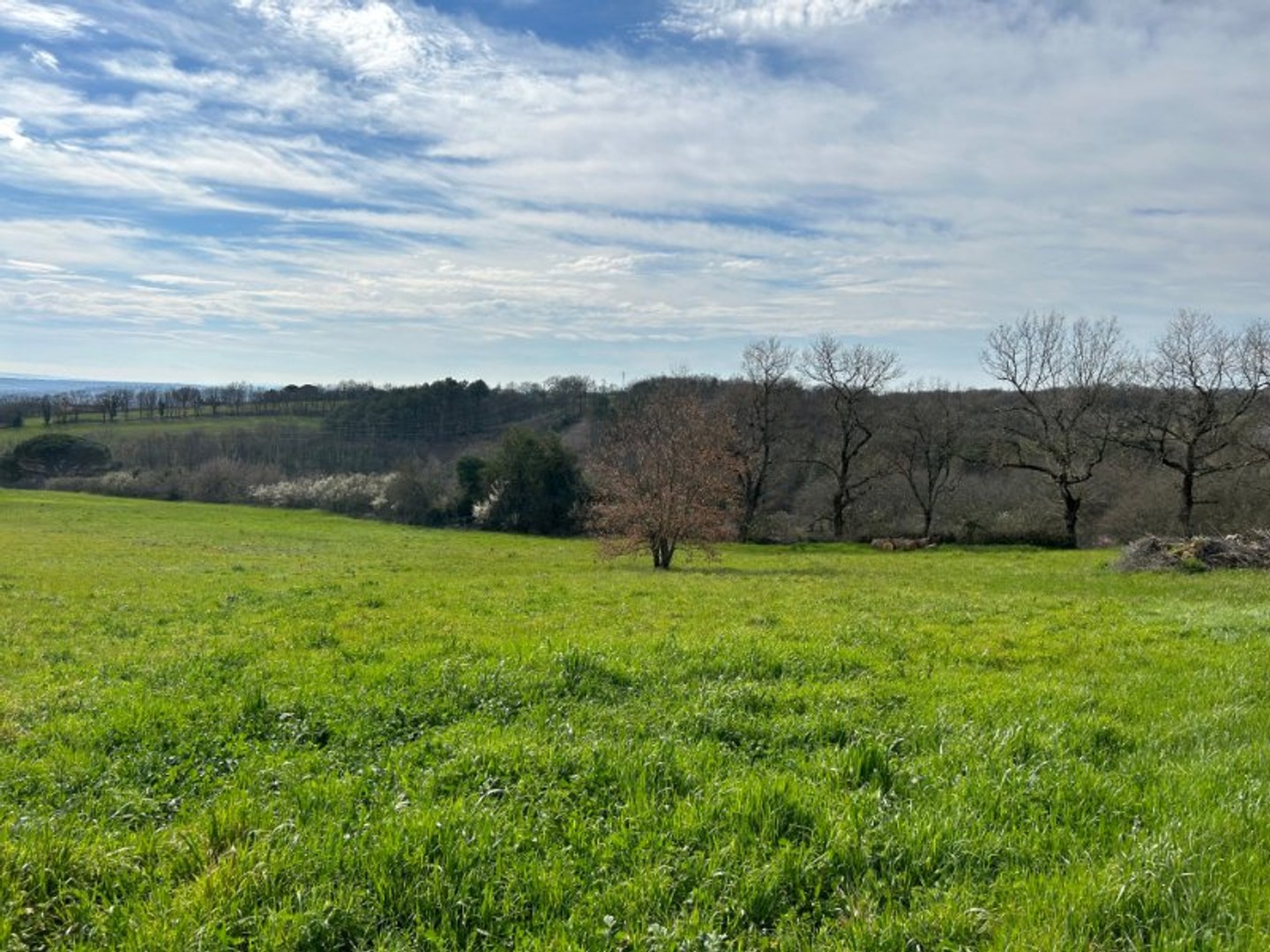 Terrain constructible sur les hauteurs de Castres