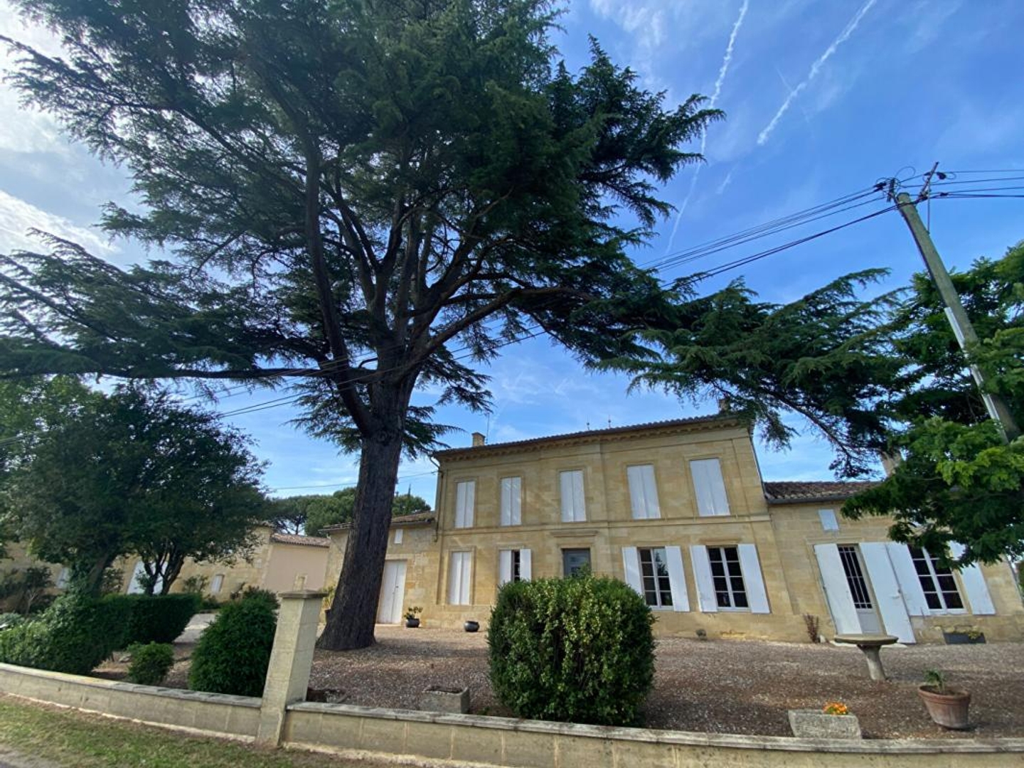 Magasin à vendre - 1 pièce - 700m2 - Saint-Émilion (33330)