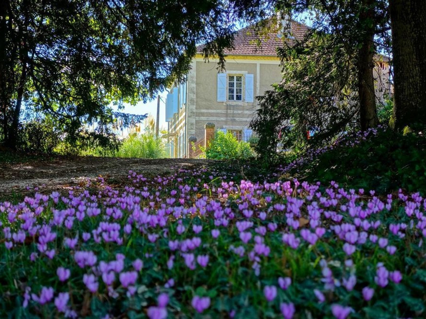 Maison à vendre - 9 pièces - 293m2 - Vic-Fezensac (32190)