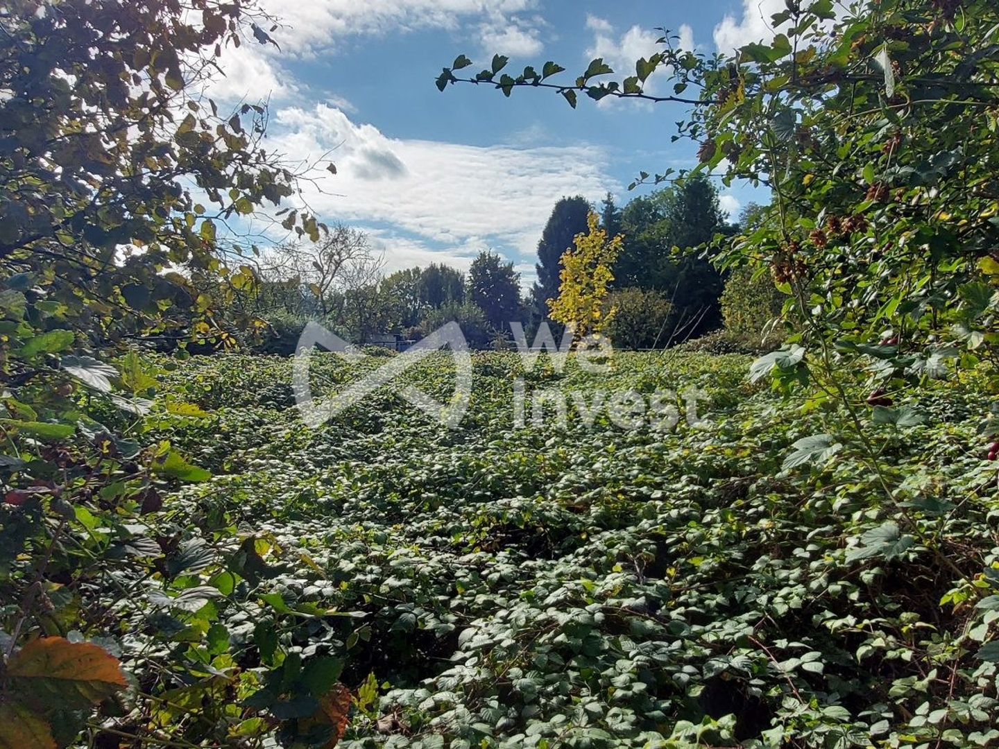 Terrain en individuel 886 m²