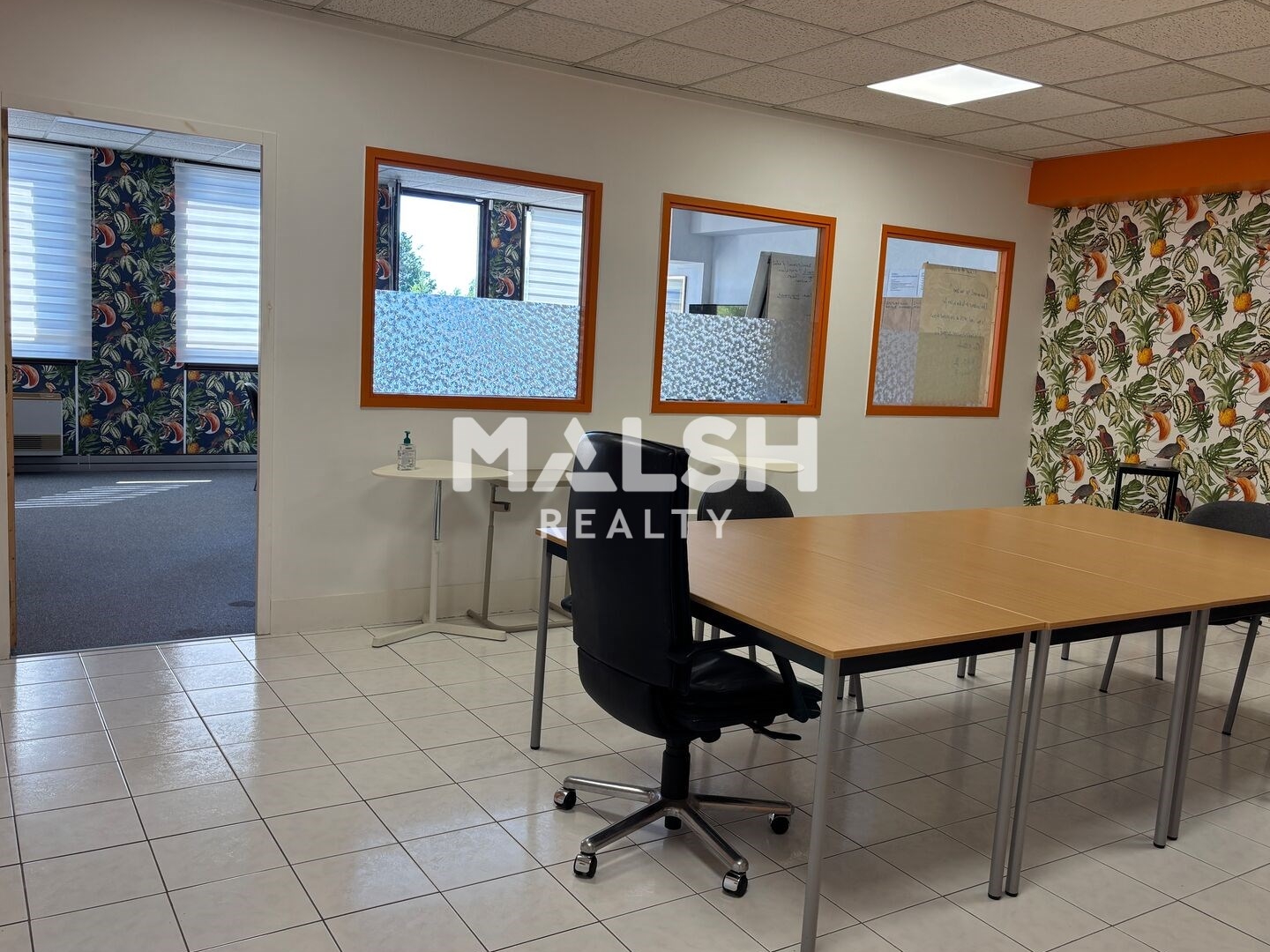 Locaux à vendre - 182m2 - Champagne-Au-Mont... (69410)
