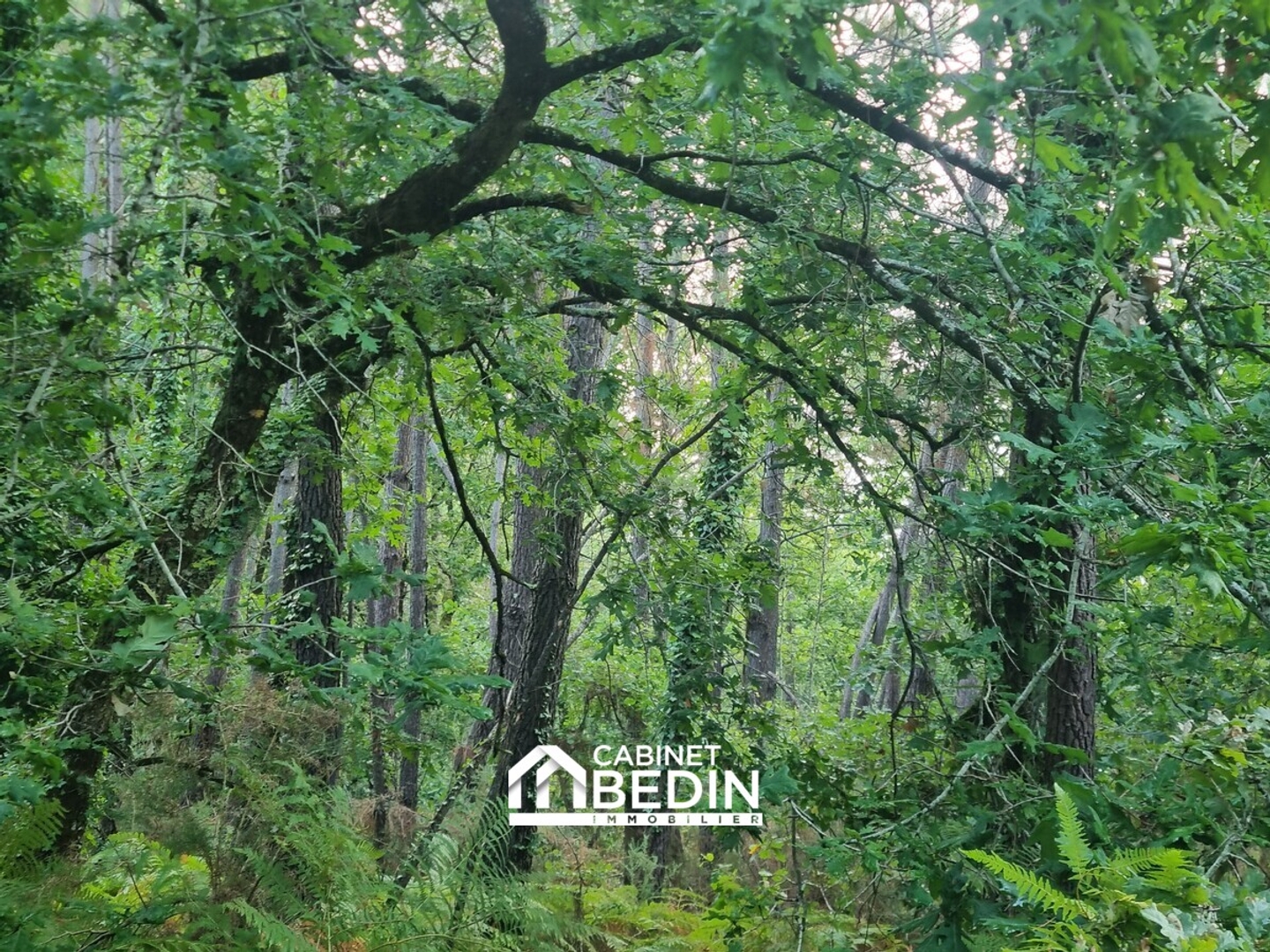 Terrain 8023 m²