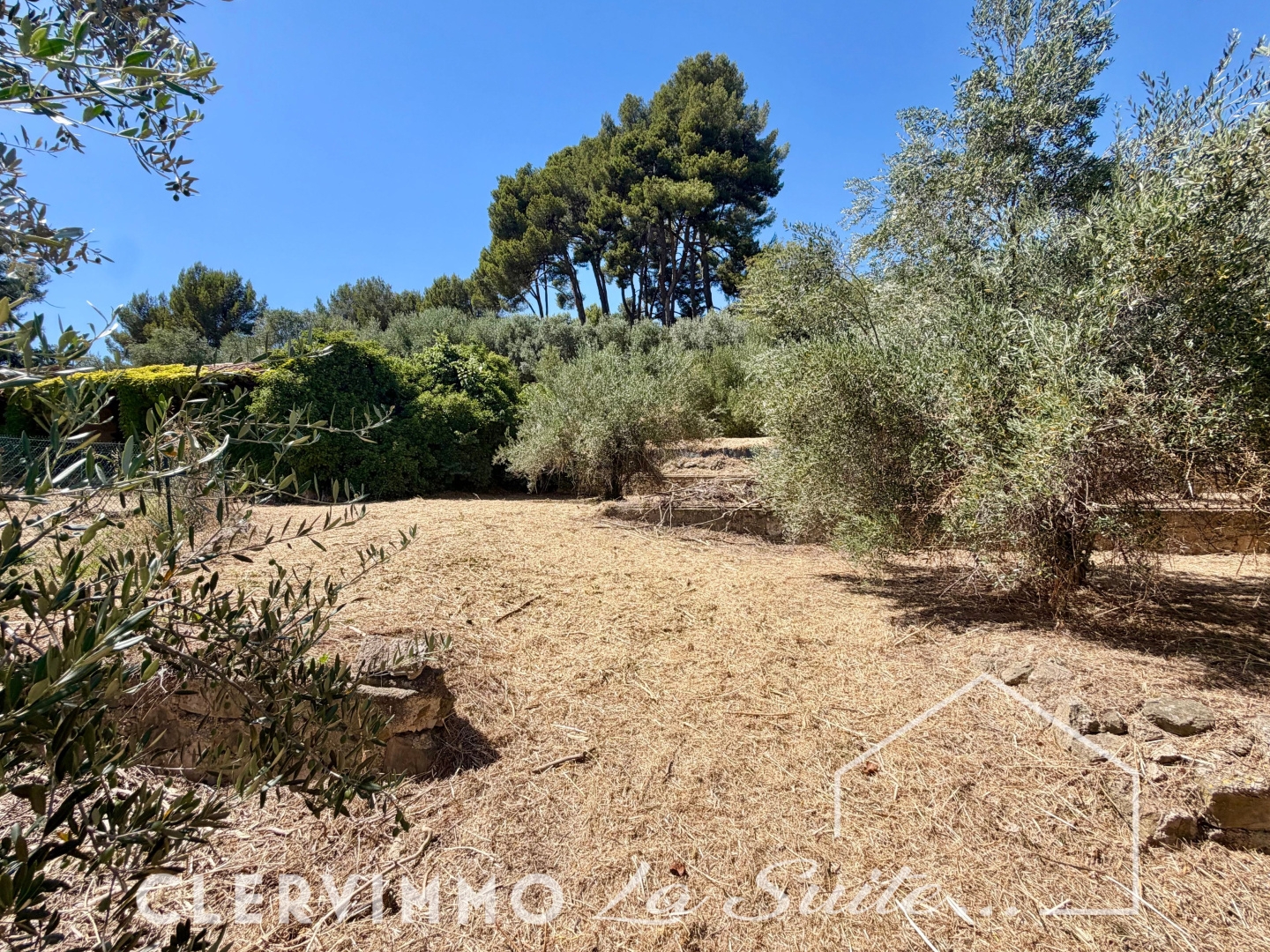 Terrain à vendre - 2000m2 - Marseille 11e (13011)