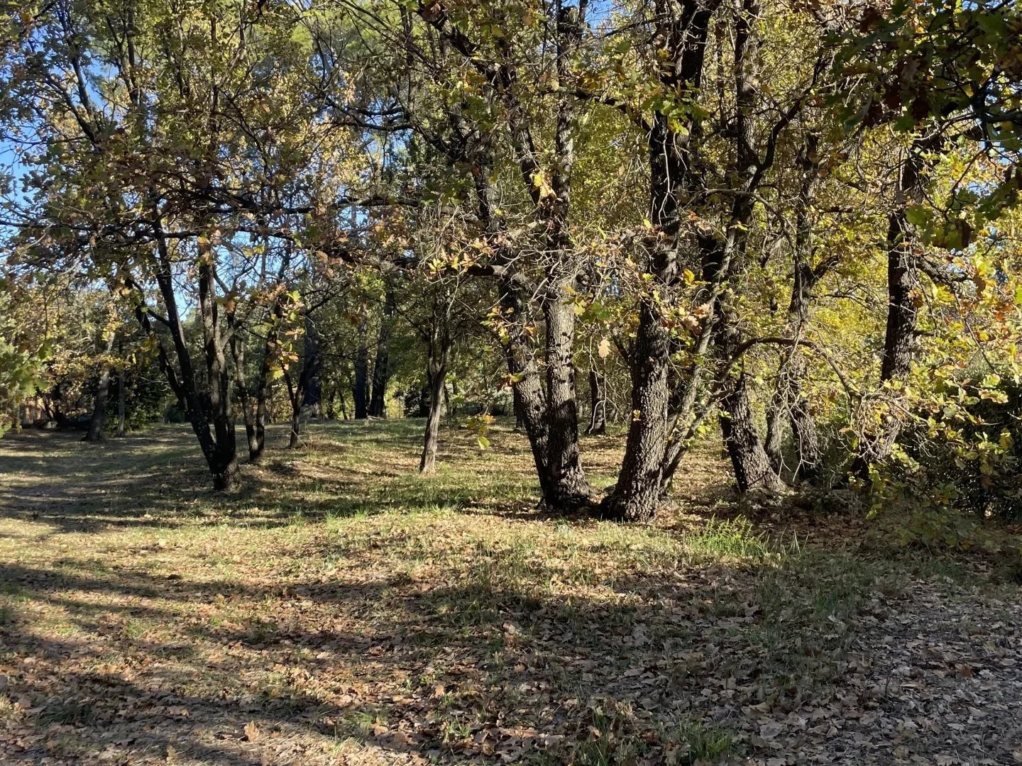 Terrain en individuel 1050 m²