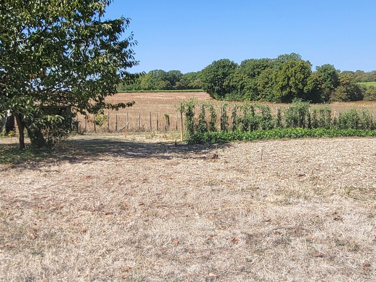 Maison à vendre - 4 pièces - 118m2 - Saint-Amant-De-No... (16170)