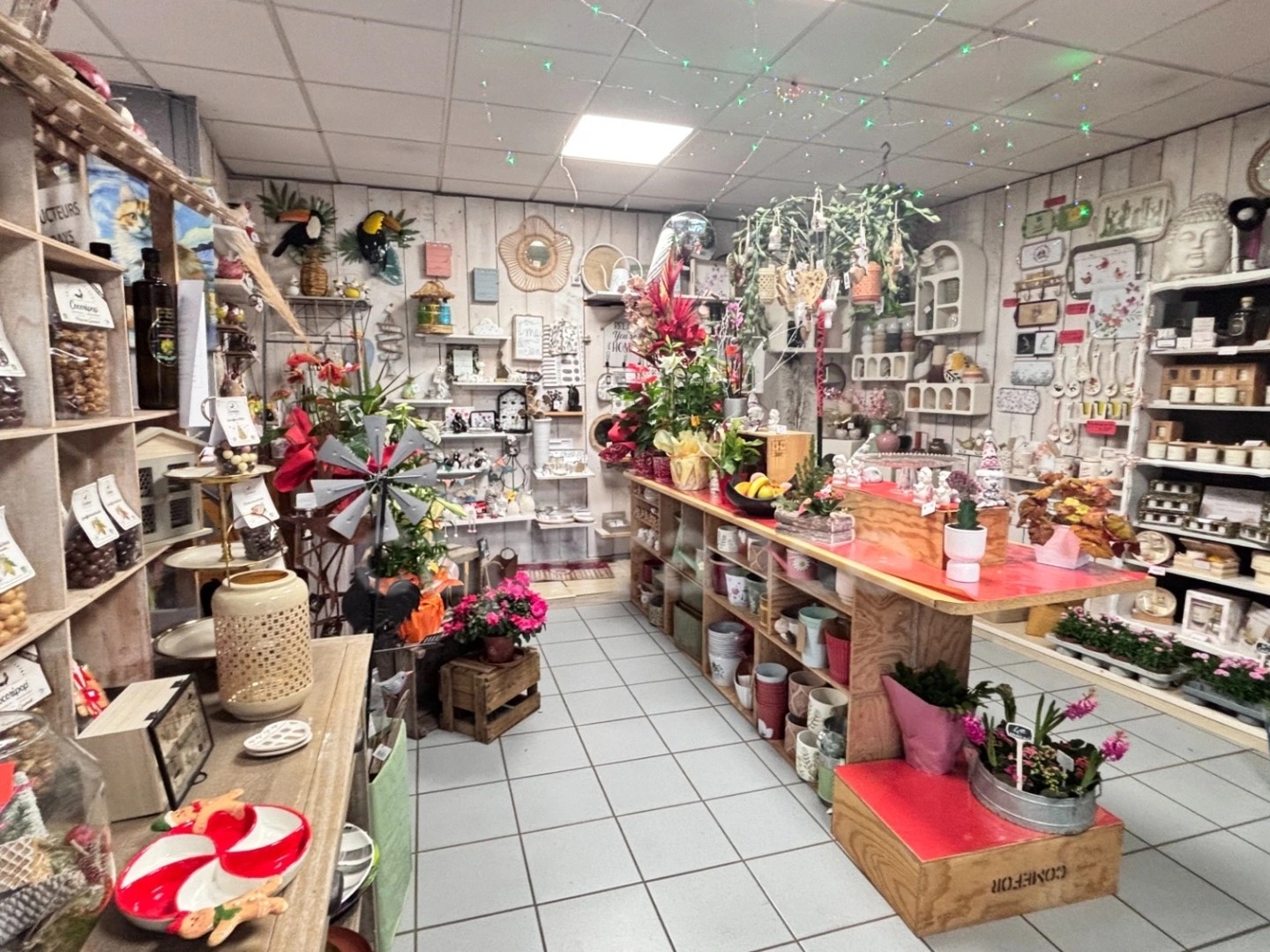 Fonds de commerce 8 pièces 340 m²