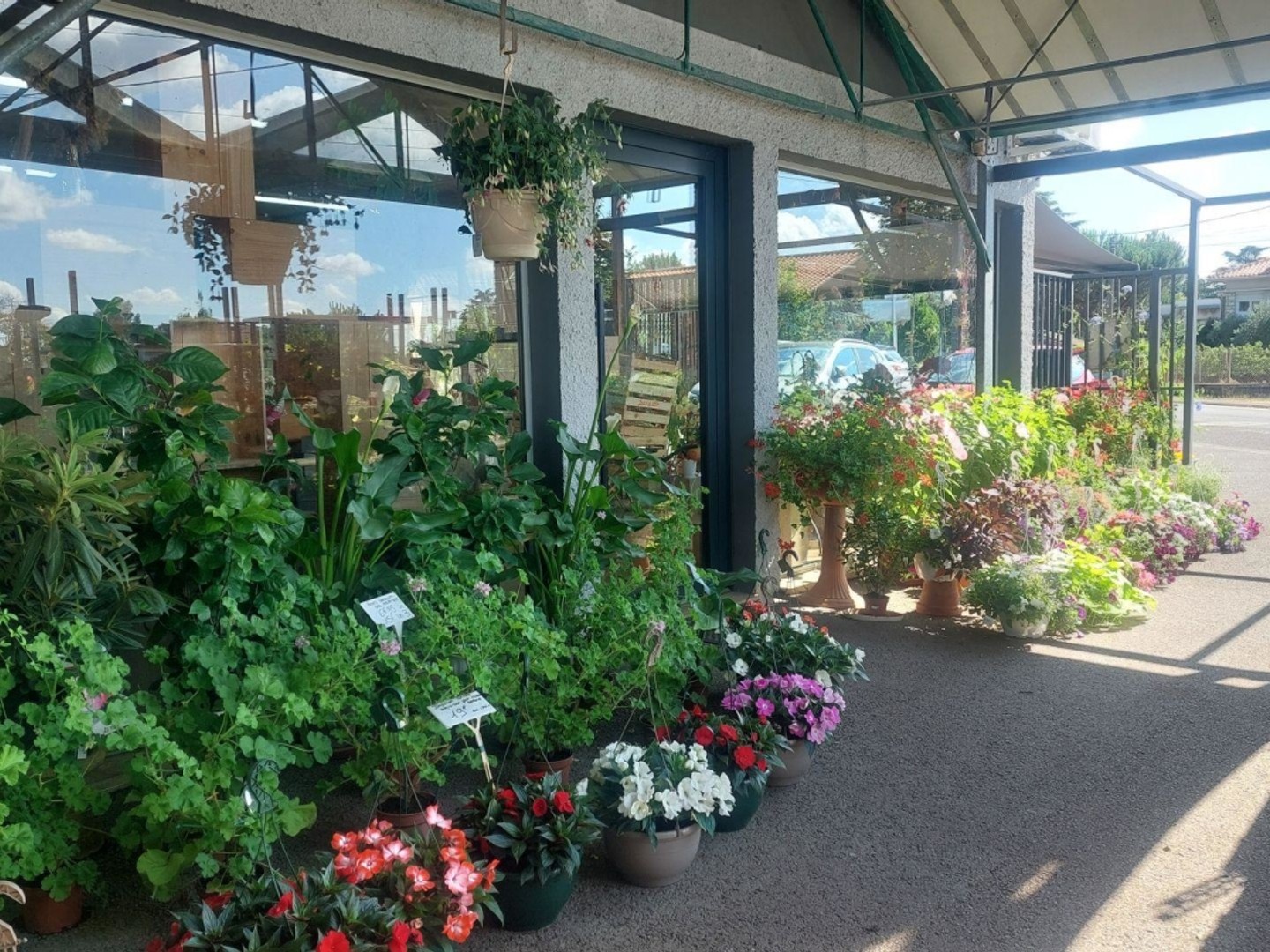 Vente Boutique/Local commercial 5 500 m²