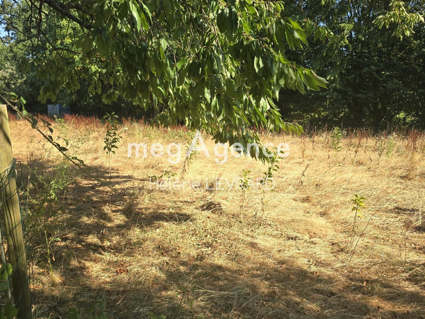 Terrain à vendre - 7195m2 - Bais (53160)