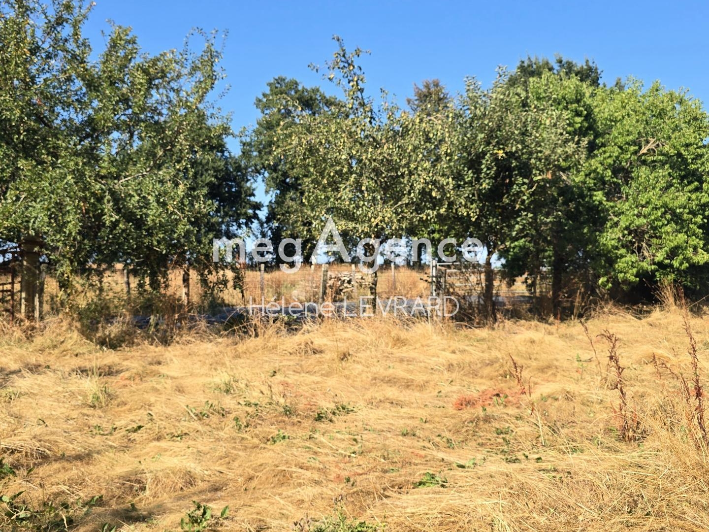 Terrain à vendre - 7195m2 - Bais (53160)