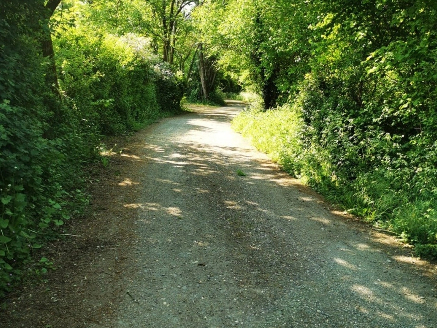 Locaux à vendre - 1 pièce - 140m2 - Croignon (33750)