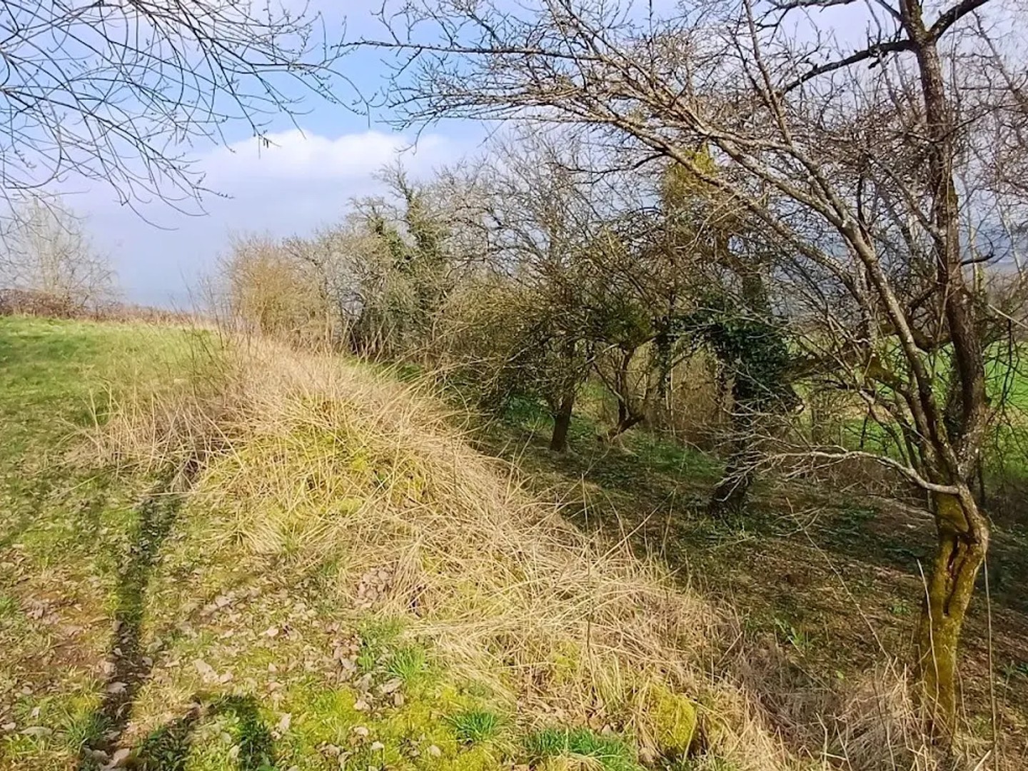 Terrain 1356 m²