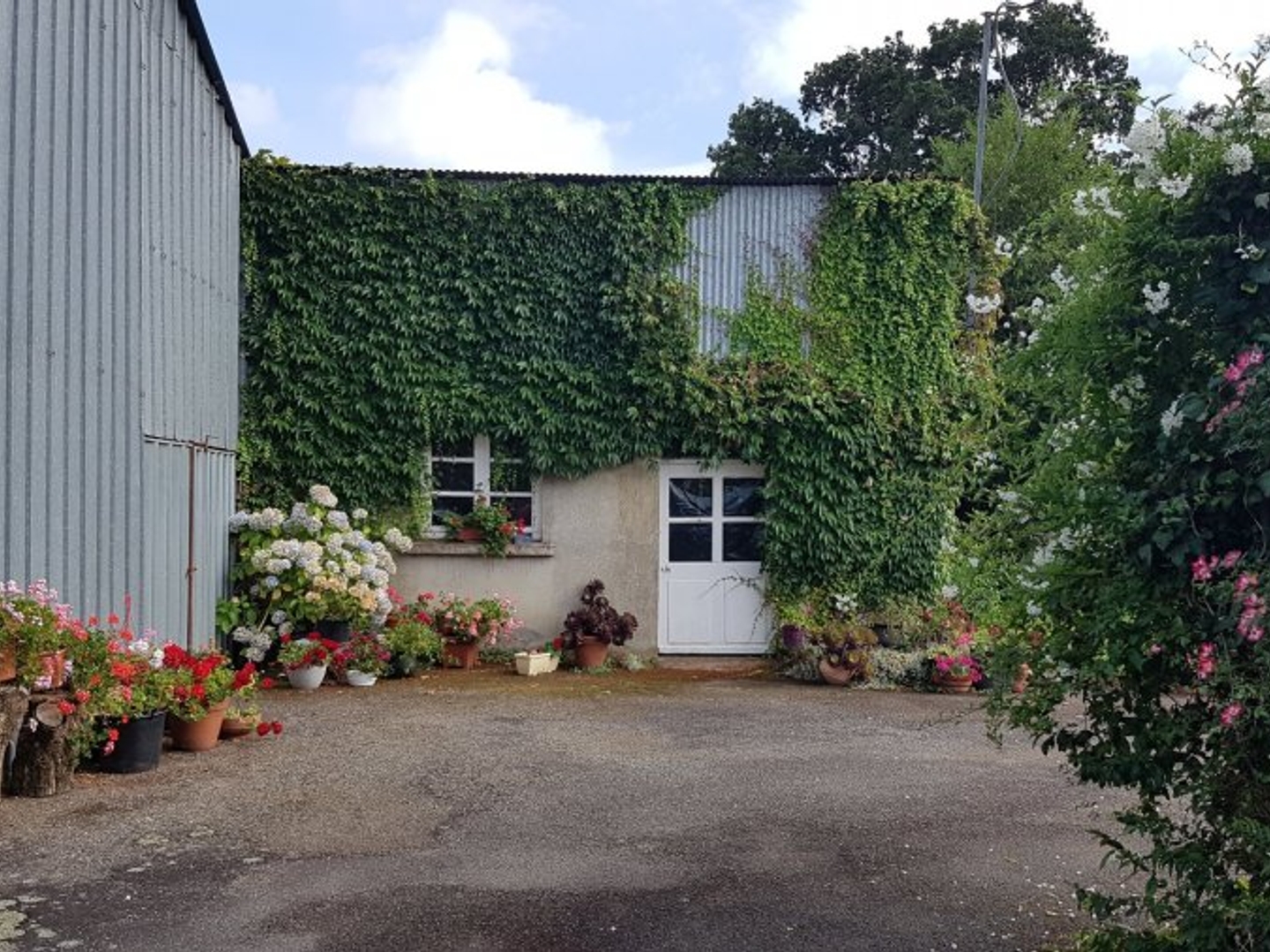 Maison à vendre - 5 pièces - 145m2 - Moréac (56500)