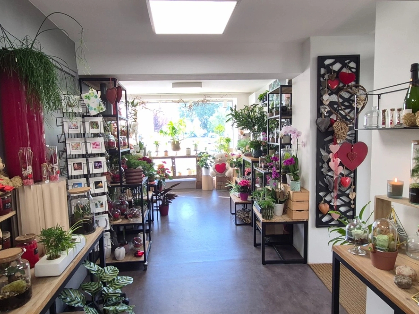 Fonds de commerce 6 pièces 162 m²