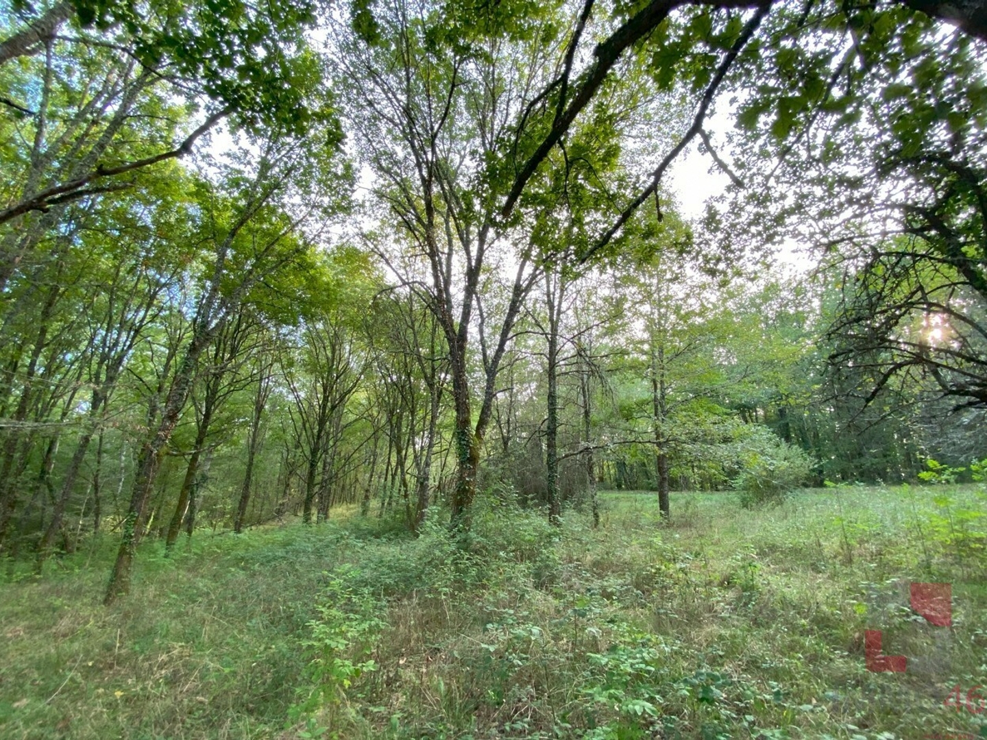 Terrain à vendre - Dégagnac (46340)