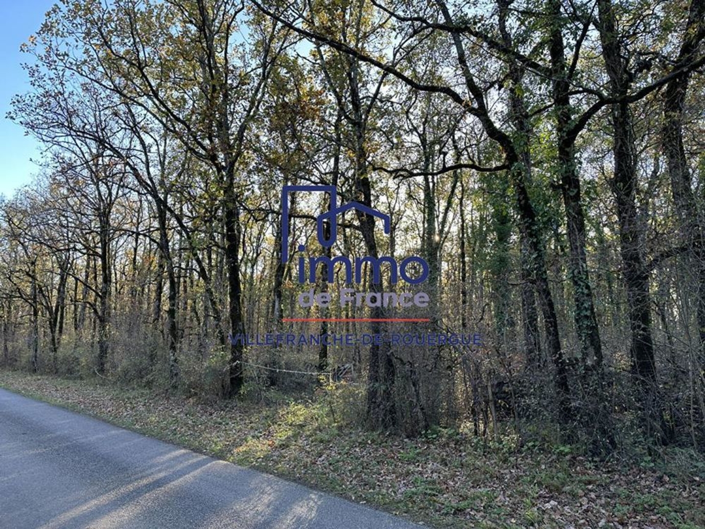 Terrain à vendre - 7278m2 - Savignac (12200)