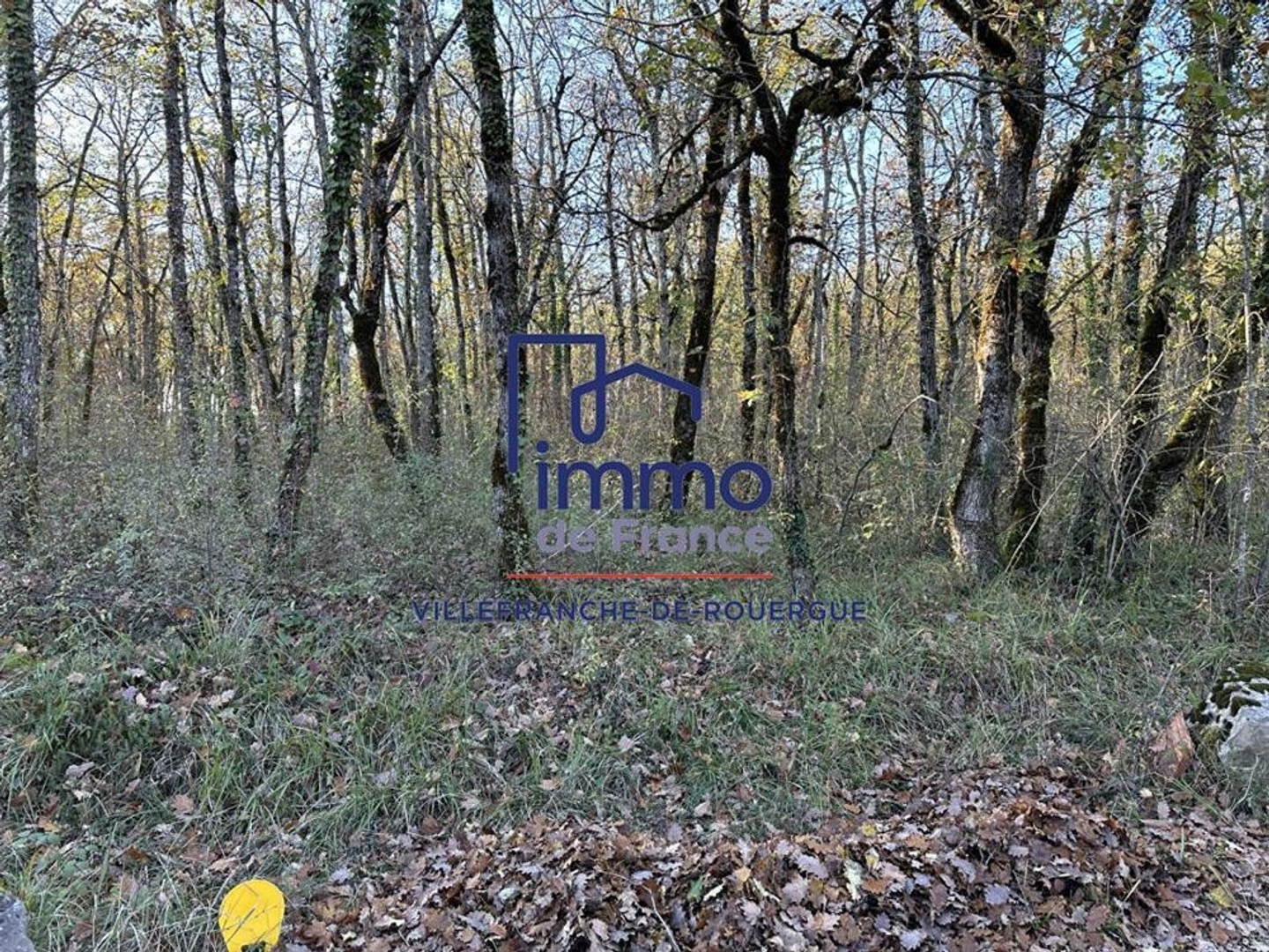 Terrain à vendre - 7278m2 - Savignac (12200)