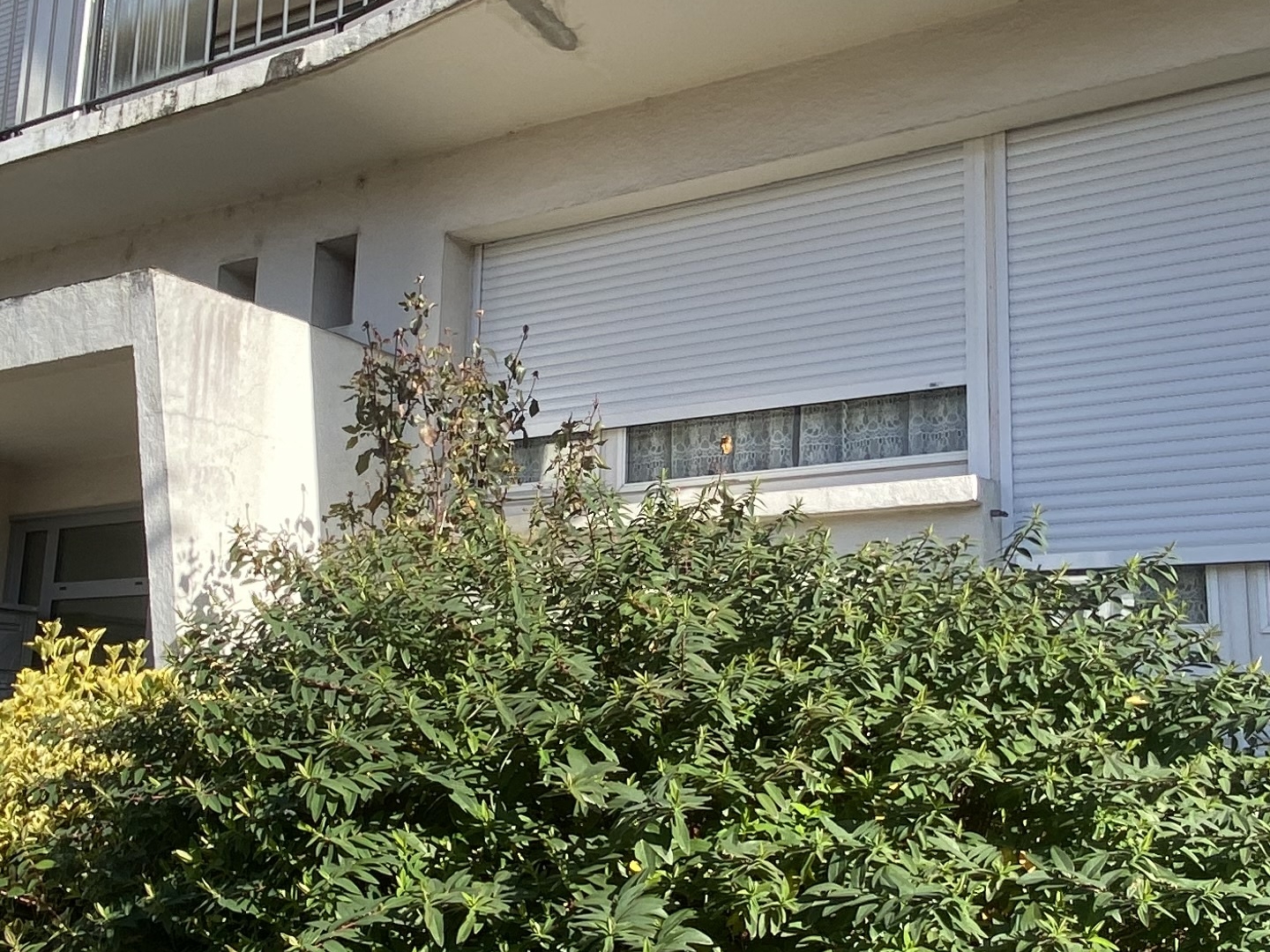 Appartement 4 pièces 65 m²
