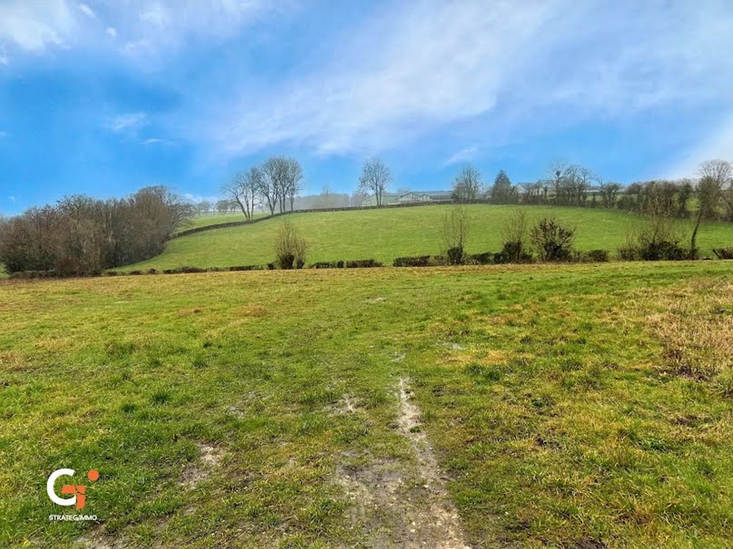 Terrain à vendre - 7872m2 - Buchy (76750)