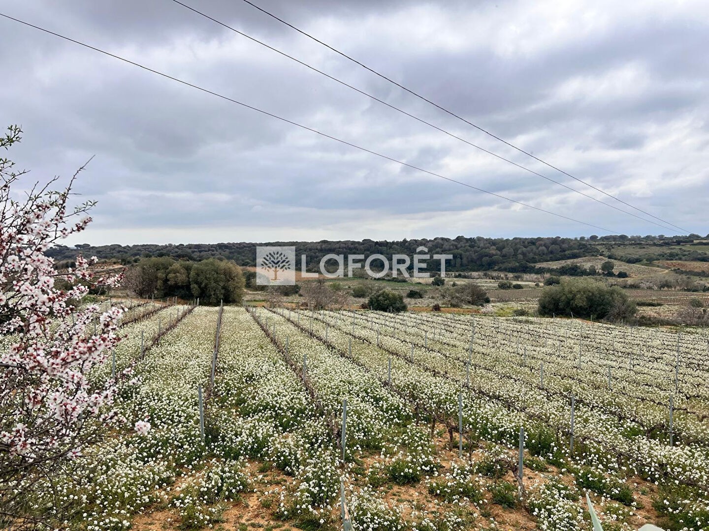 Terrain 11190 m²