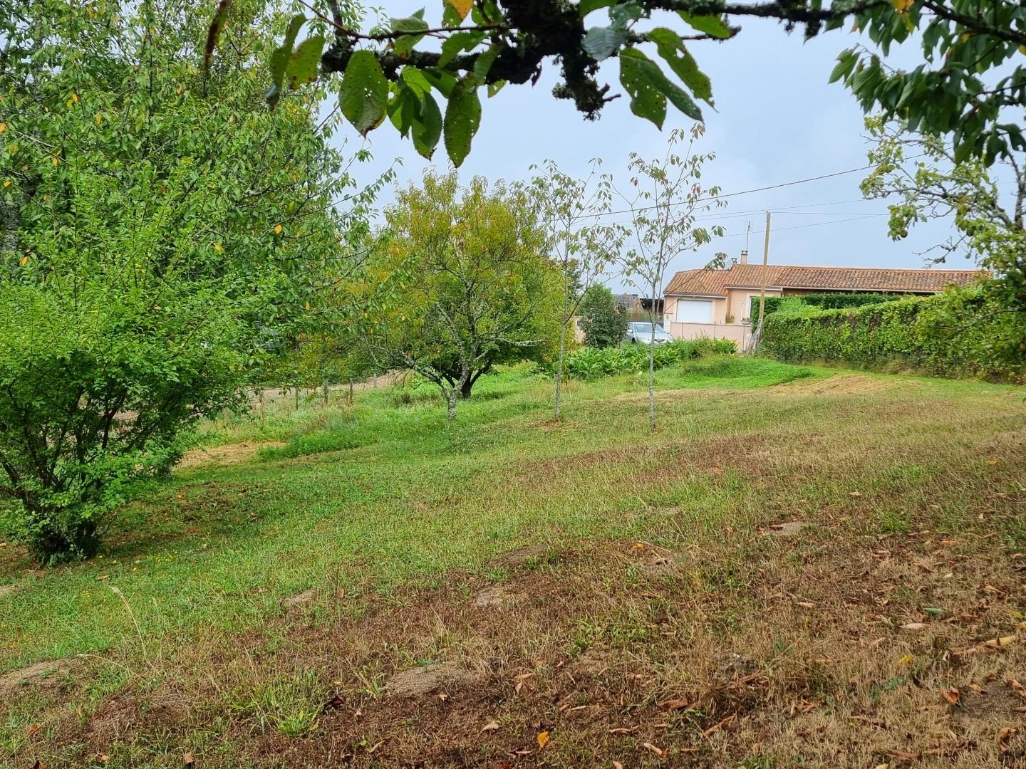 Terrain en partie en zone constructible