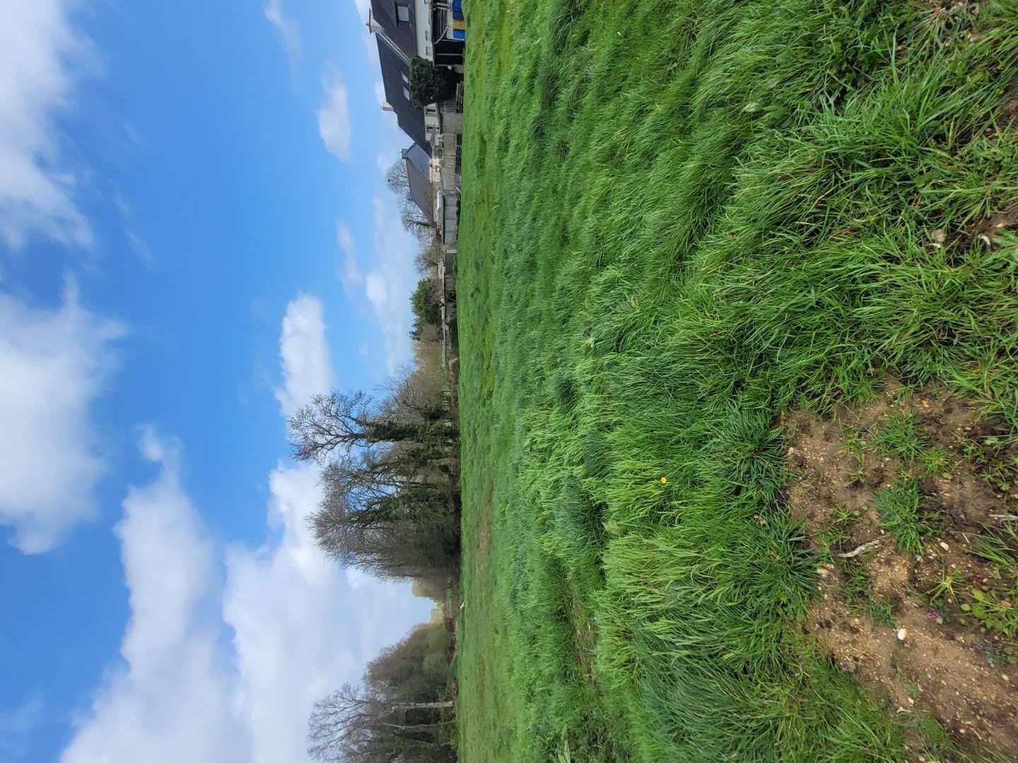 Terrain 505 m²
