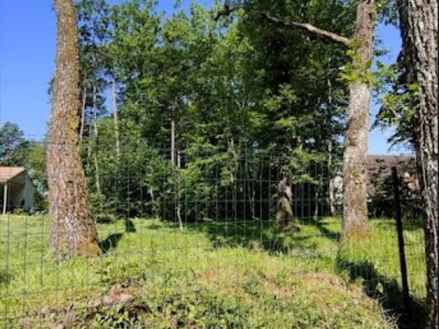 Terrain 1000 m²