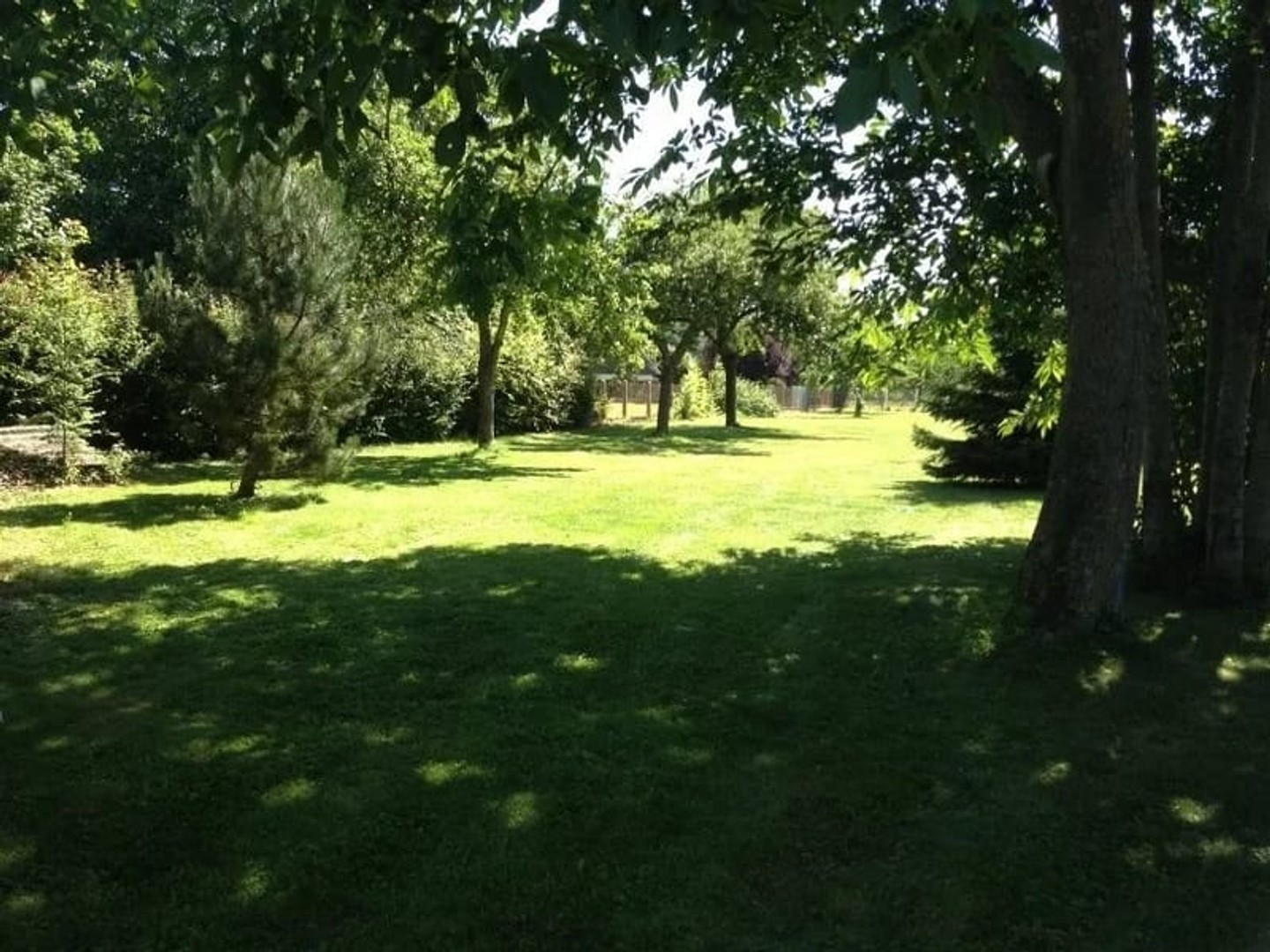 Terrain à bâtir