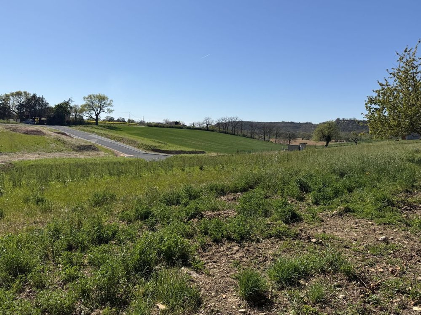 Terrain à vendre - 1075m2 - Montdragon (81440)