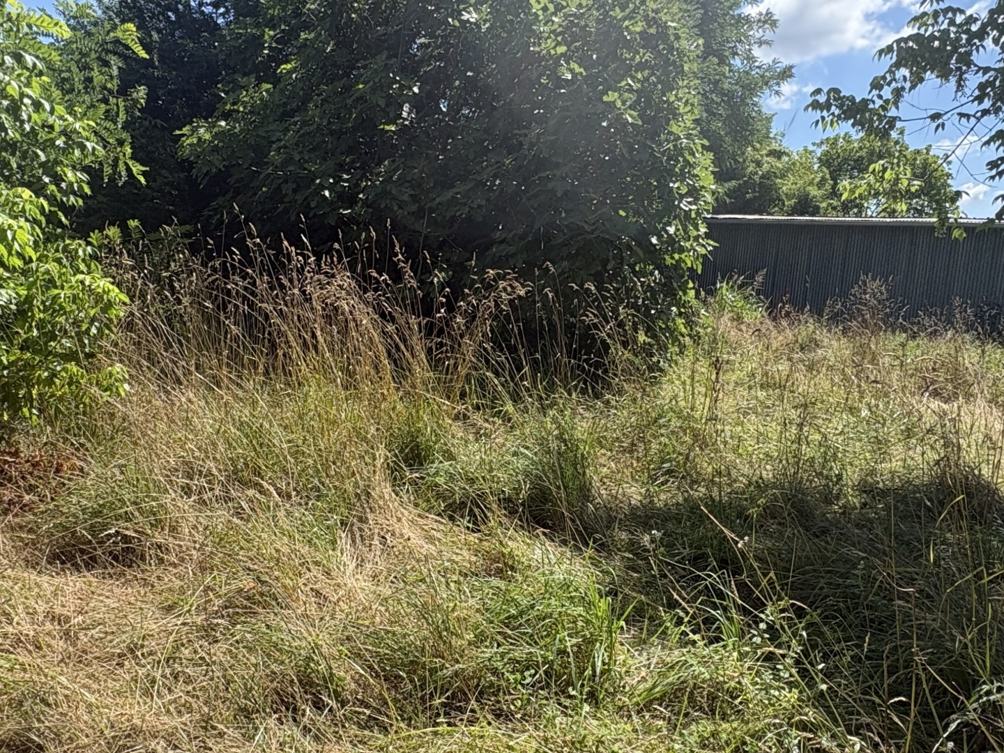 Terrain en individuel 2317 m²