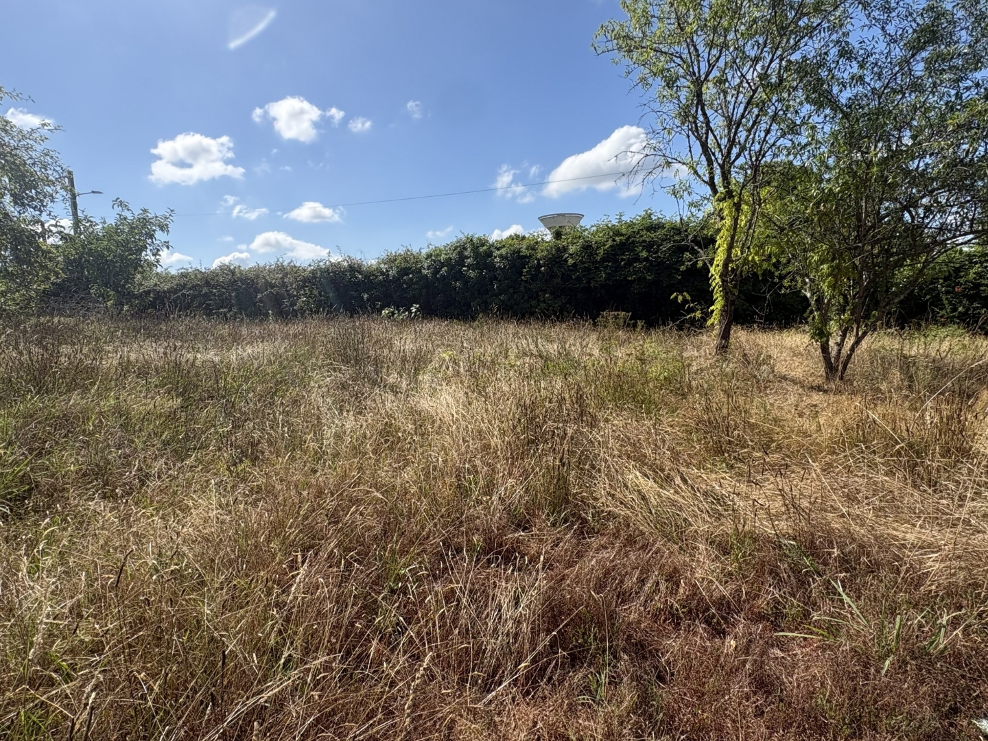 Terrain à vendre - 2317m2 - Hinx (40180)
