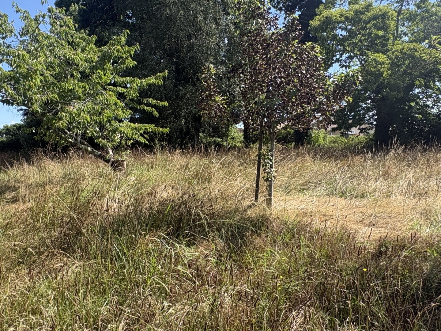 Terrain à vendre - 2317m2 - Hinx (40180)