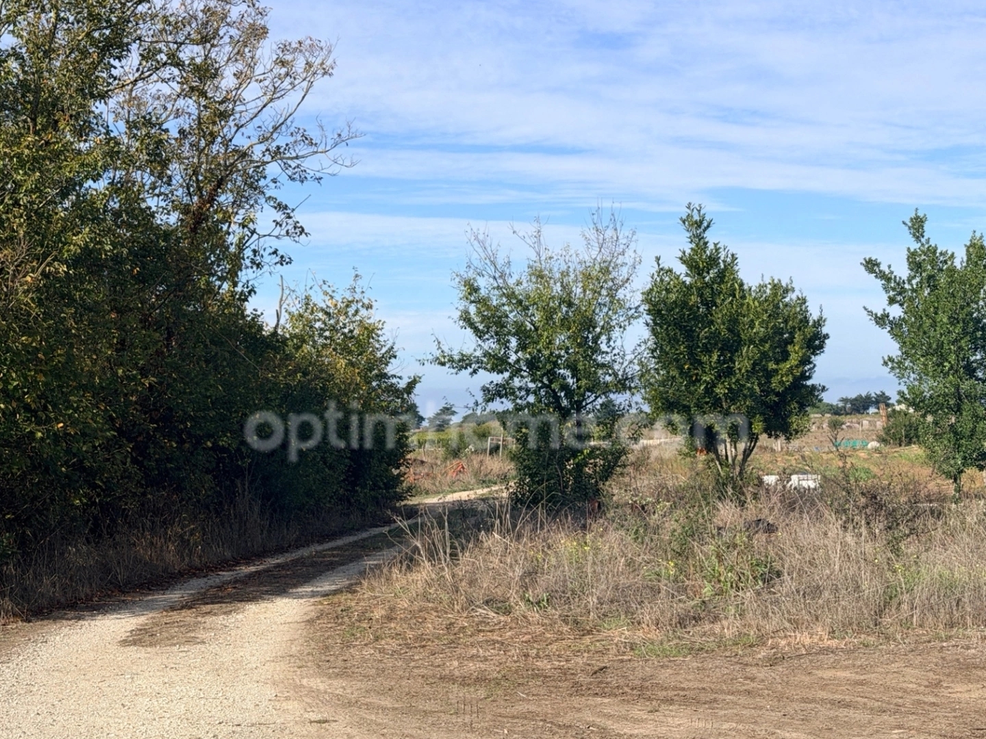 Terrain à vendre - 221m2 - Le Bois-Plage-En-Ré (17580)
