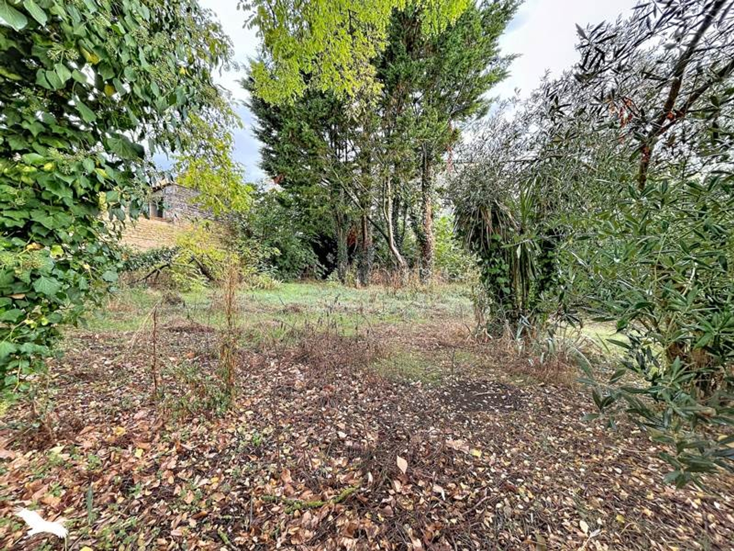 Maison à vendre - 6 pièces - 635m2 - Muron (17430)