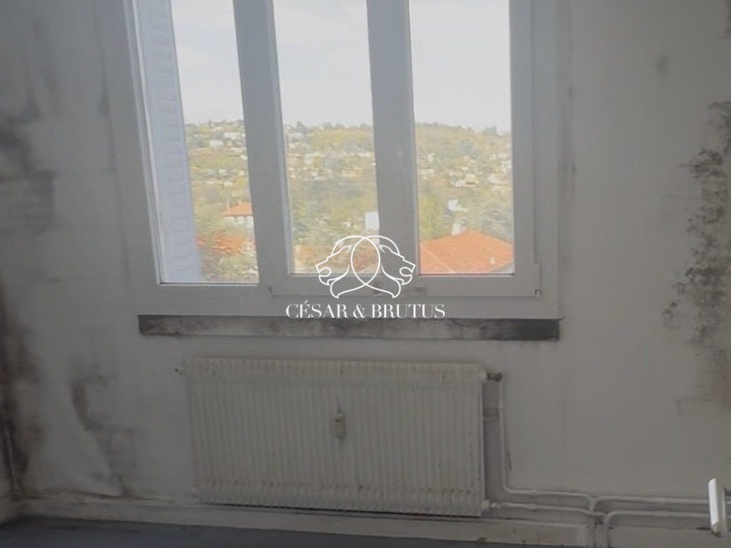 Appartement à vendre - 4 pièces - 65m2 - Oullins-Pierre-Bé... (69600)