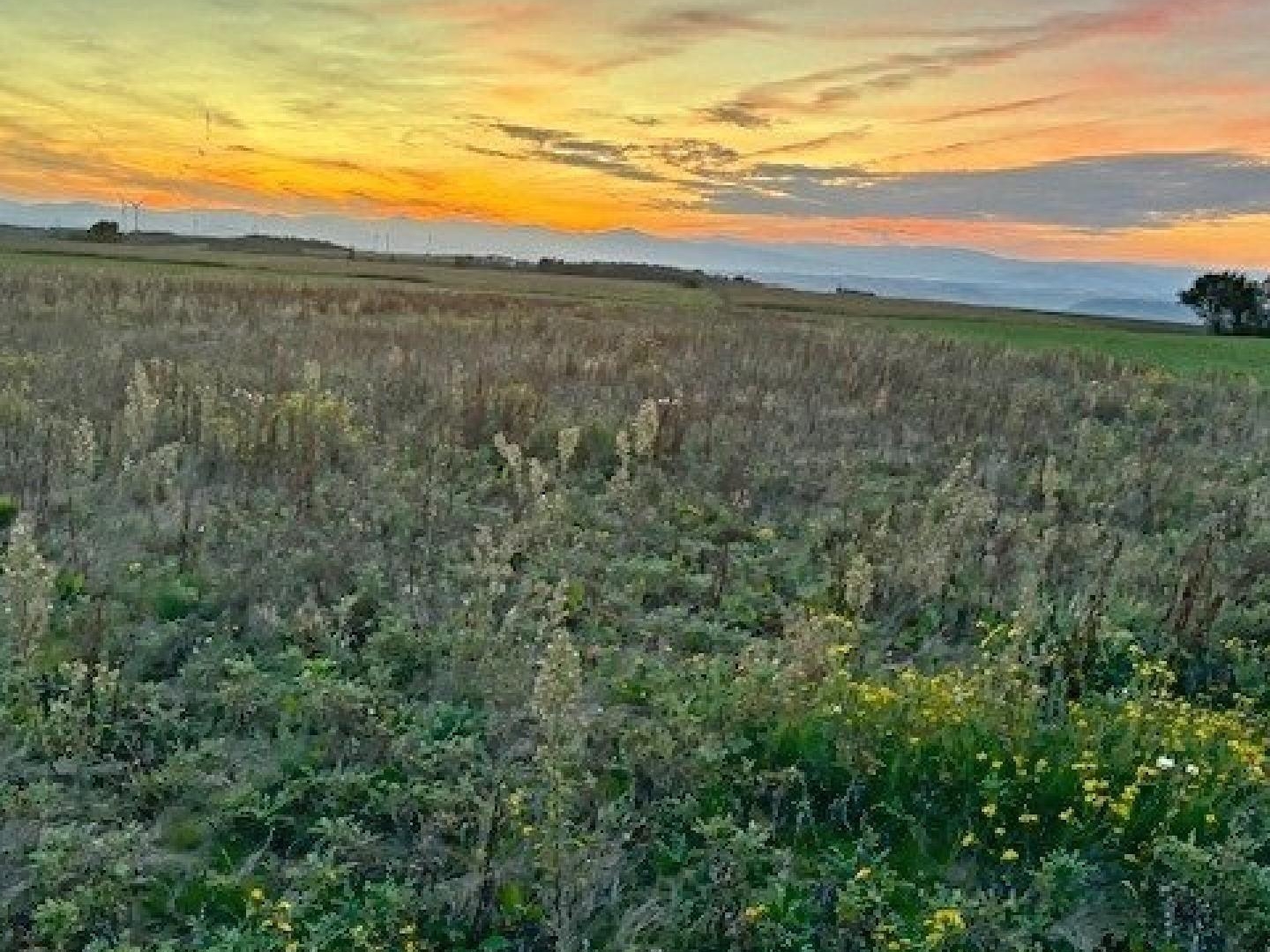 TERRAIN DE 14 820 M² - CALME, PLAT ET BIEN EXPOSÉ