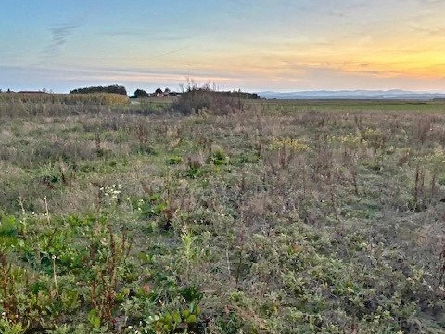 Terrain à vendre - 14820m2 - Saint-Jean-De-Gal... (26240)